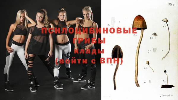 каннабис Арсеньев