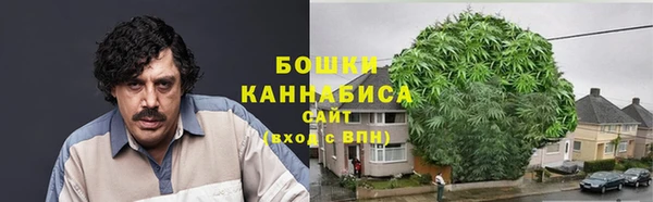 каннабис Аркадак
