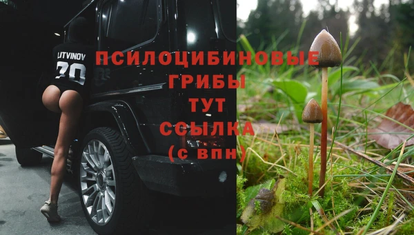 каннабис Арсеньев