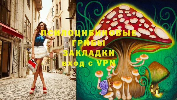каннабис Арсеньев
